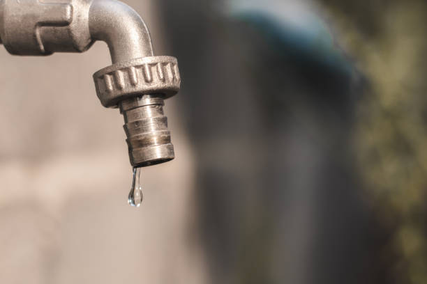 Ola de calor y ni una gota de agua.