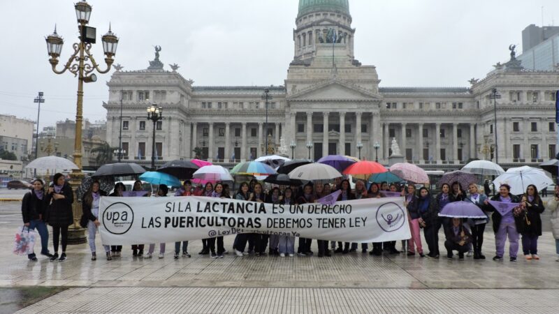 Puericultoras reclamaron al Congreso una Ley que reconozca y regule su trabajo