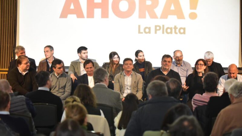 La UCR impulsa una consulta popular por la autonomía de La Plata 