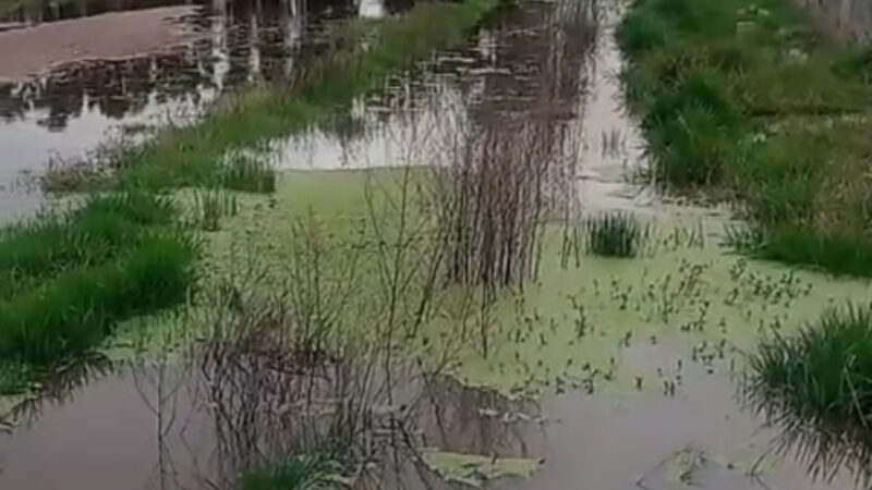 Sobre llovido, embarrado: siguen las denuncias por incumplimientos en el barrio Don Luis