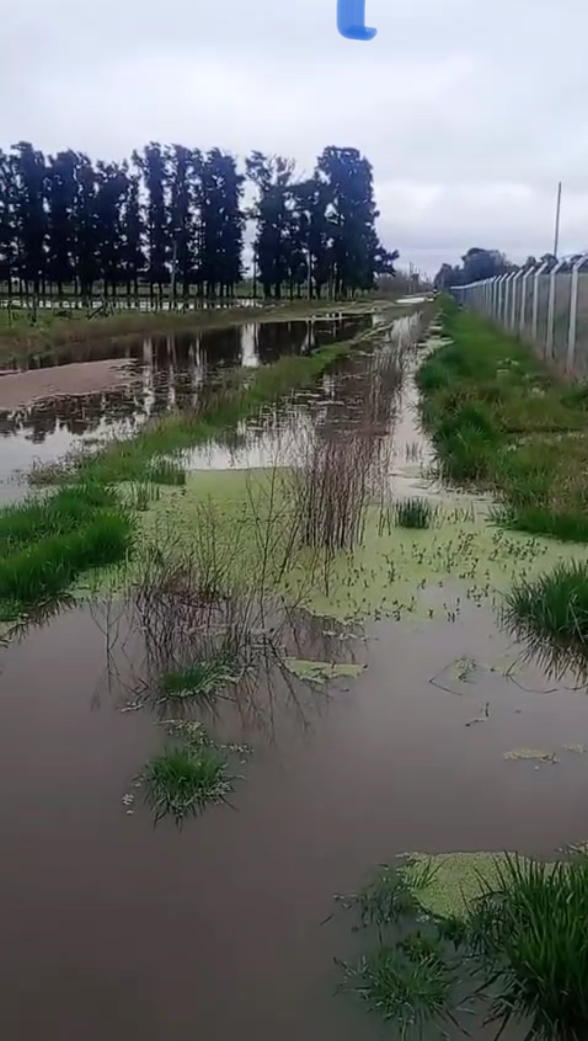 Sobre llovido, embarrado: siguen las denuncias por incumplimientos en el barrio Don Luis