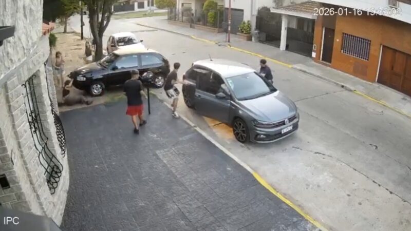 Pirañas, dueñas de la calle