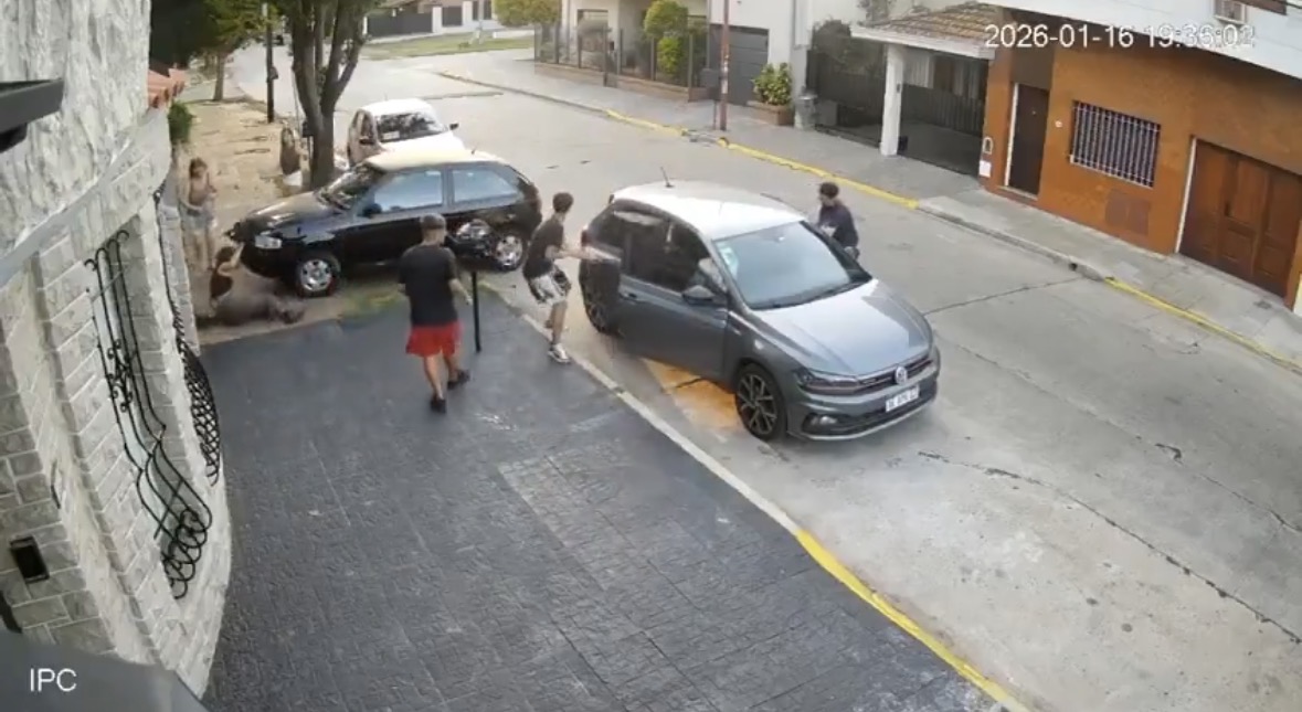 Pirañas, dueñas de la calle