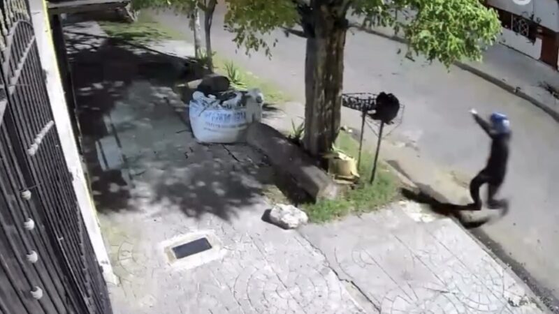 Motochorros de cacería en Tres de Febrero