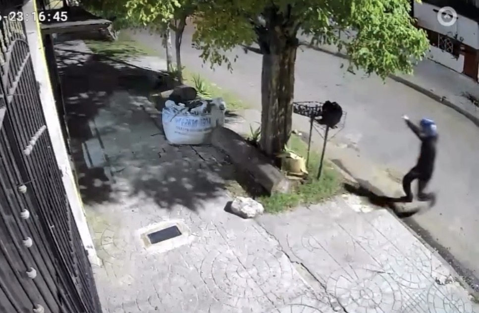 Motochorros de cacería en Tres de Febrero