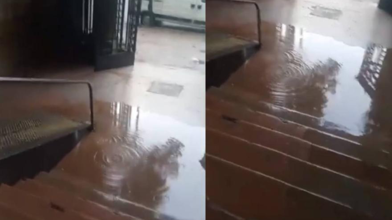 Escuelas públicas en crisis en La Plata: edificios deteriorados y reclamos sin respuesta