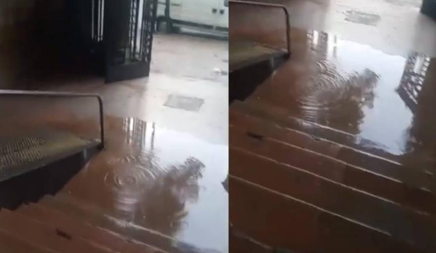 Escuelas públicas en crisis en La Plata: edificios deteriorados y reclamos sin respuesta