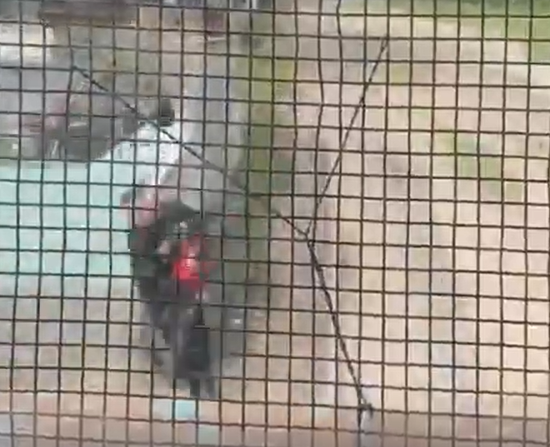 Milagro en las vías en Córdoba gracias a un policía héroe