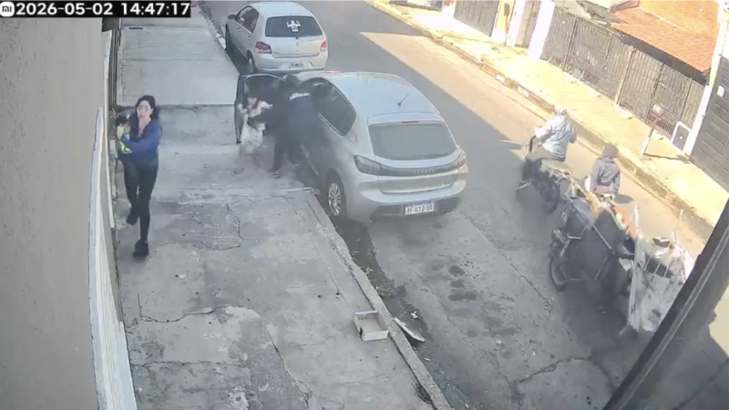 Ladrones sin alma: le robaron con su bebé y su sobrina