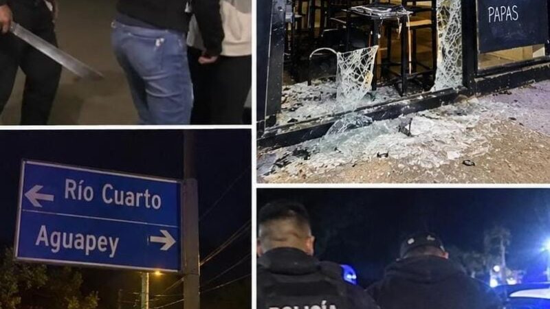 Terror en Rafael Castillo: Atacó a mujeres con un machete , destrozó un local y quedo en libertad