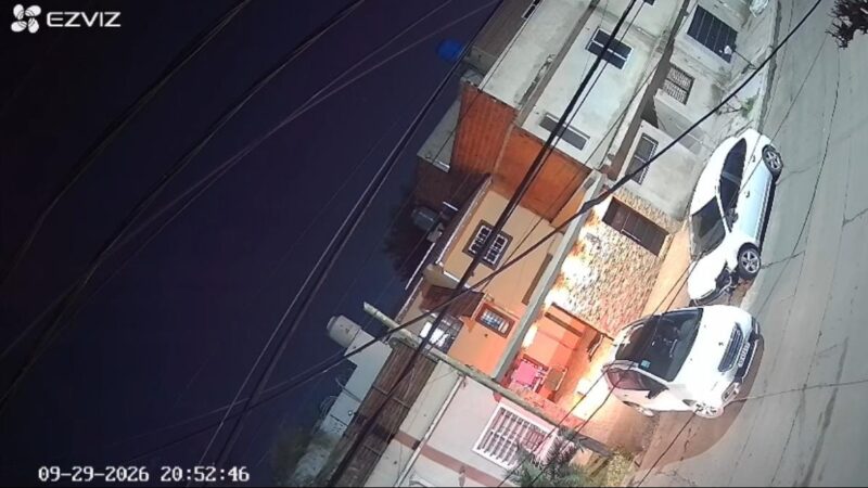 Cometió “el error” de demorar demasiado en cerrar el portón y se le metieron en la casa