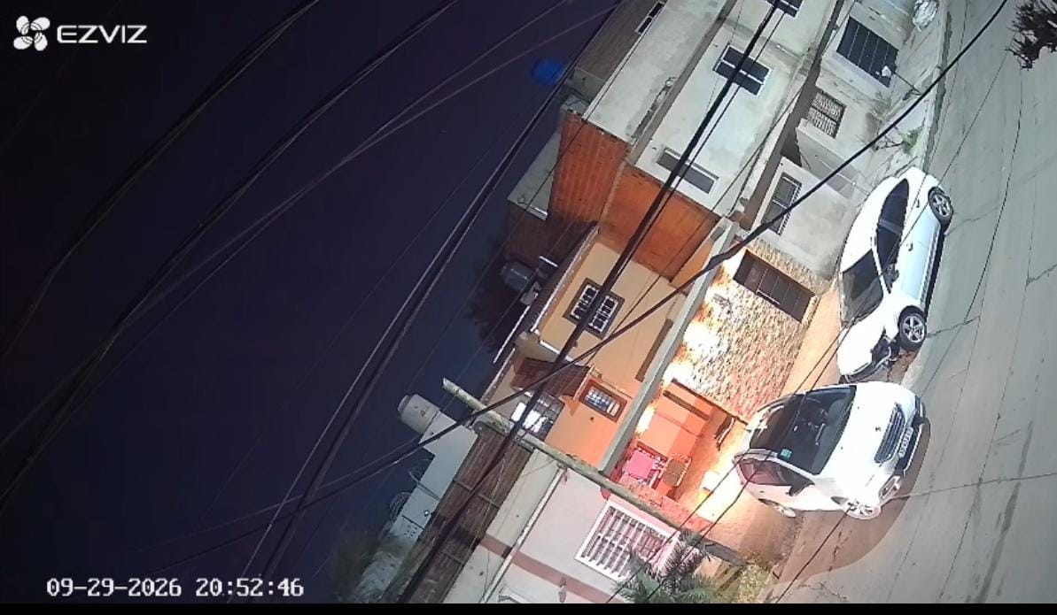 Cometió “el error” de demorar demasiado en cerrar el portón y se le metieron en la casa