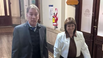 Una jueza suspendió la aplicación de la baja de imputabilidad en la provincia y desde la Rosada apuntaron a Kicillof