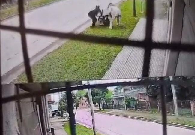 Salvajes y ladronas:  brutal ataque de dos mujeres a una chica en Merlo