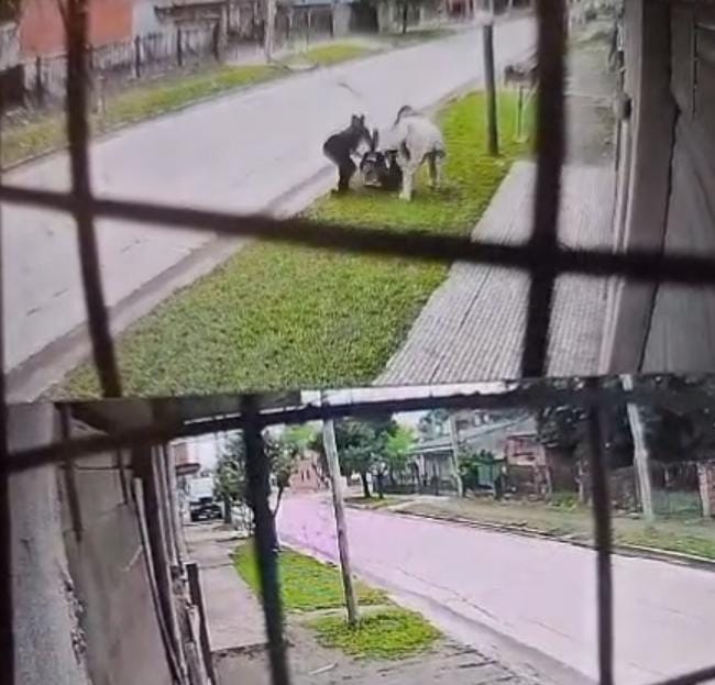 Salvajes y ladronas:  brutal ataque de dos mujeres a una chica en Merlo